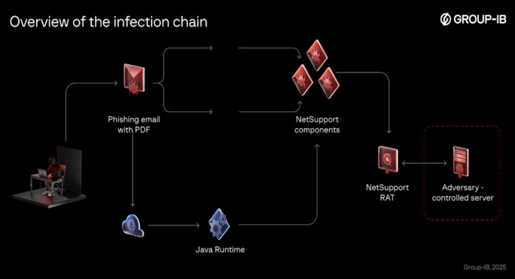 Overview of the infection chain